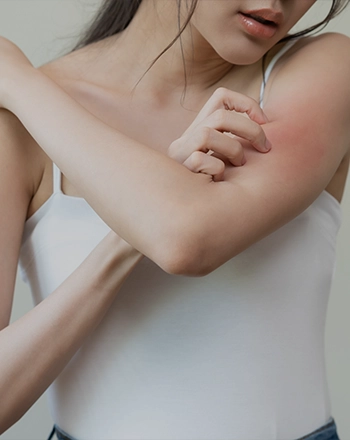 Image Slider